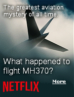 A Netflix docuseries tries to untangle the many theories surrounding the disappearance of the Malaysia Airlines flight that shocked the world.